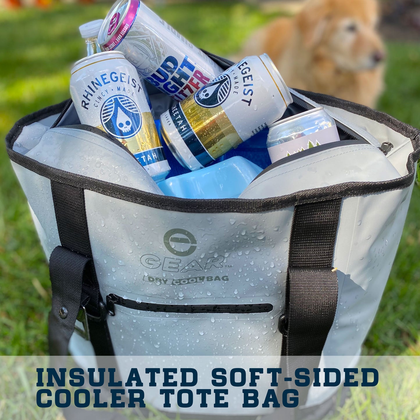 Enthusiast Gear Dry Bag Cooler Tote – Collapsible, waterproof, with Side Pocket - Perfect for Pool, Beach, Picnics, Grocery - 20 or 36 Cans