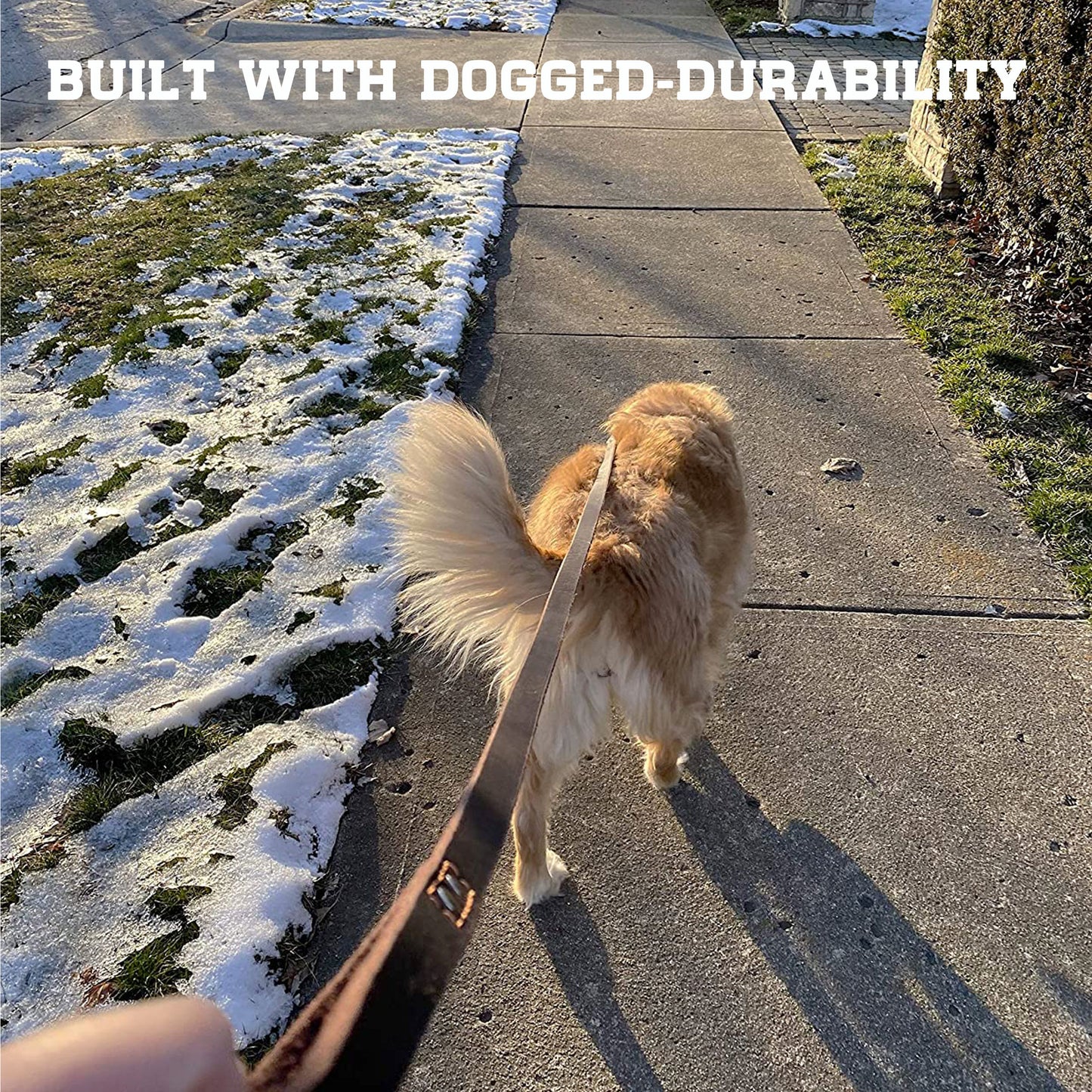 Enthusiast Gear Leather Dog Leash with Locking Carabiner | Strong and Soft Leash for Large and Medium Dogs | 6 Ft Long x ¾” Wide Genuine Leather