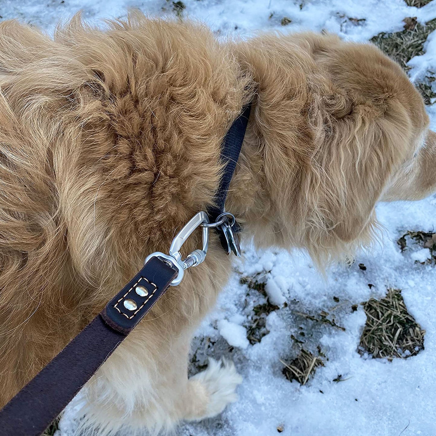 Enthusiast Gear Leather Dog Leash with Locking Carabiner | Strong and Soft Leash for Large and Medium Dogs | 6 Ft Long x ¾” Wide Genuine Leather