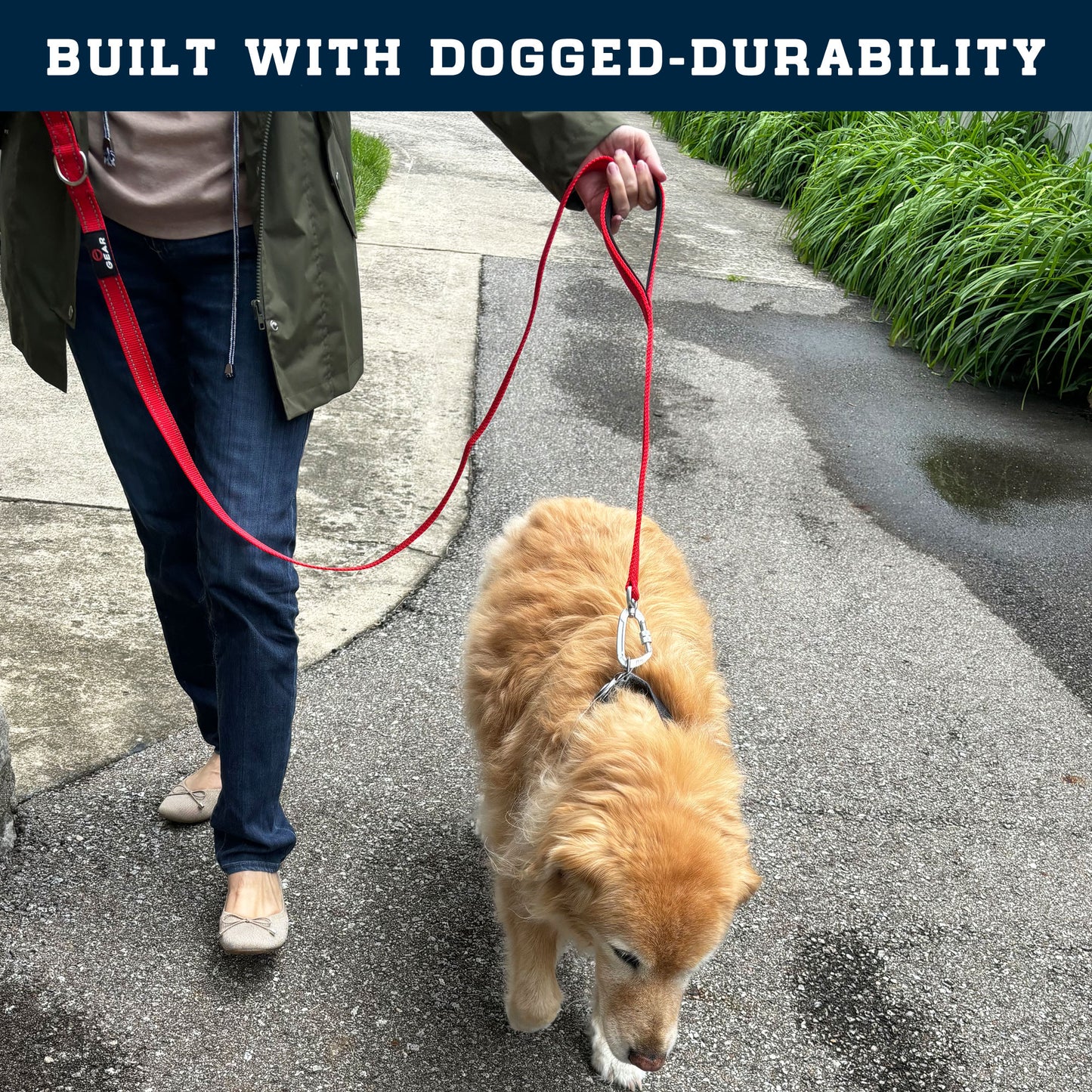 Enthusiast Gear Heavy Duty Nylon Dog Leash with Locking Carabiner for Large and Medium Breeds – Reflective Lead with Padded Handle - 4 Ft or 6 Ft Long