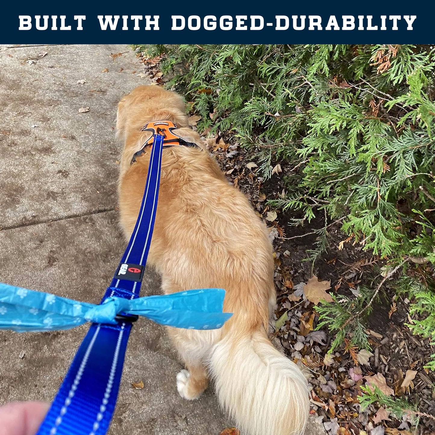 Enthusiast Gear Heavy Duty Nylon Dog Leash with Locking Carabiner for Large and Medium Breeds – Reflective Lead with Padded Handle - 4 Ft or 6 Ft Long