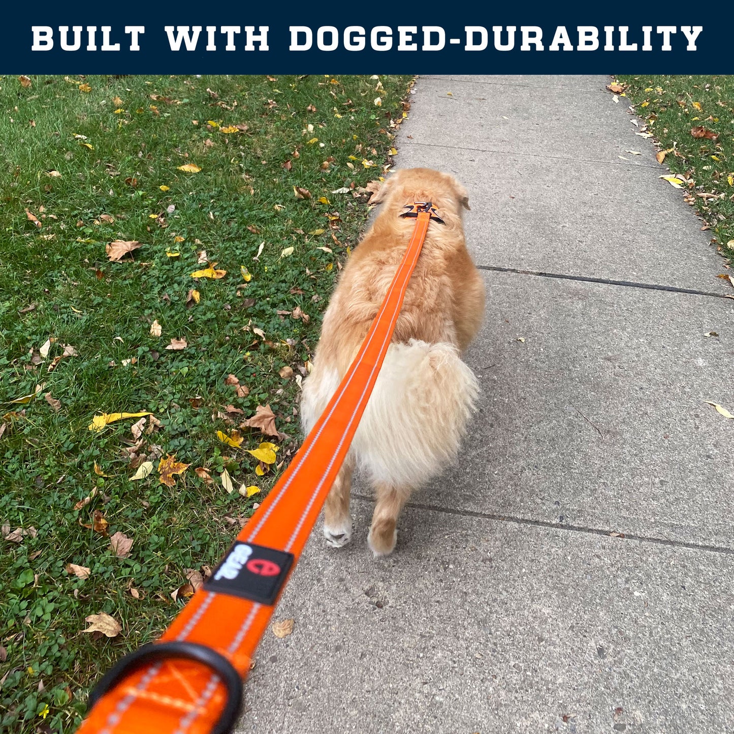 Enthusiast Gear Heavy Duty Nylon Dog Leash with Locking Carabiner for Large and Medium Breeds – Reflective Lead with Padded Handle - 4 Ft or 6 Ft Long