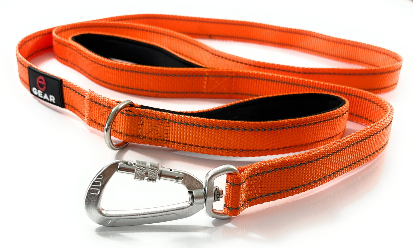 Enthusiast Gear Heavy Duty Nylon Dog Leash with Locking Carabiner for Large and Medium Breeds – Reflective Lead with Padded Handle - 4 Ft or 6 Ft Long