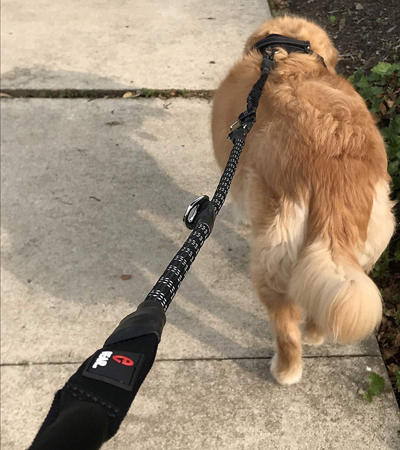 Enthusiast Gear Climbing Rope Dog Seat Belt Leash with Locking Carabiner for Large and Medium Breeds