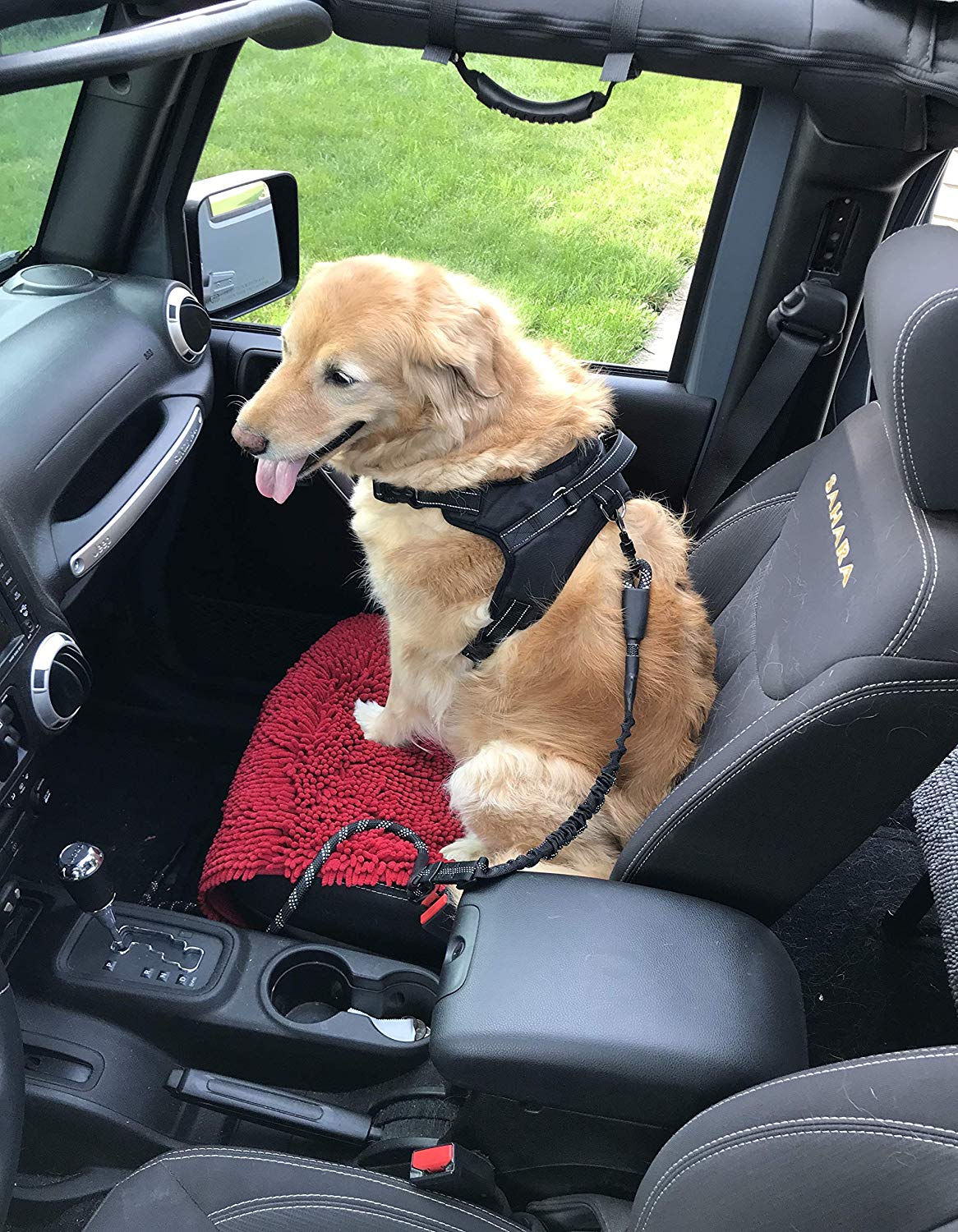 Enthusiast Gear Climbing Rope Dog Seat Belt Leash with Locking Carabiner for Large and Medium Breeds