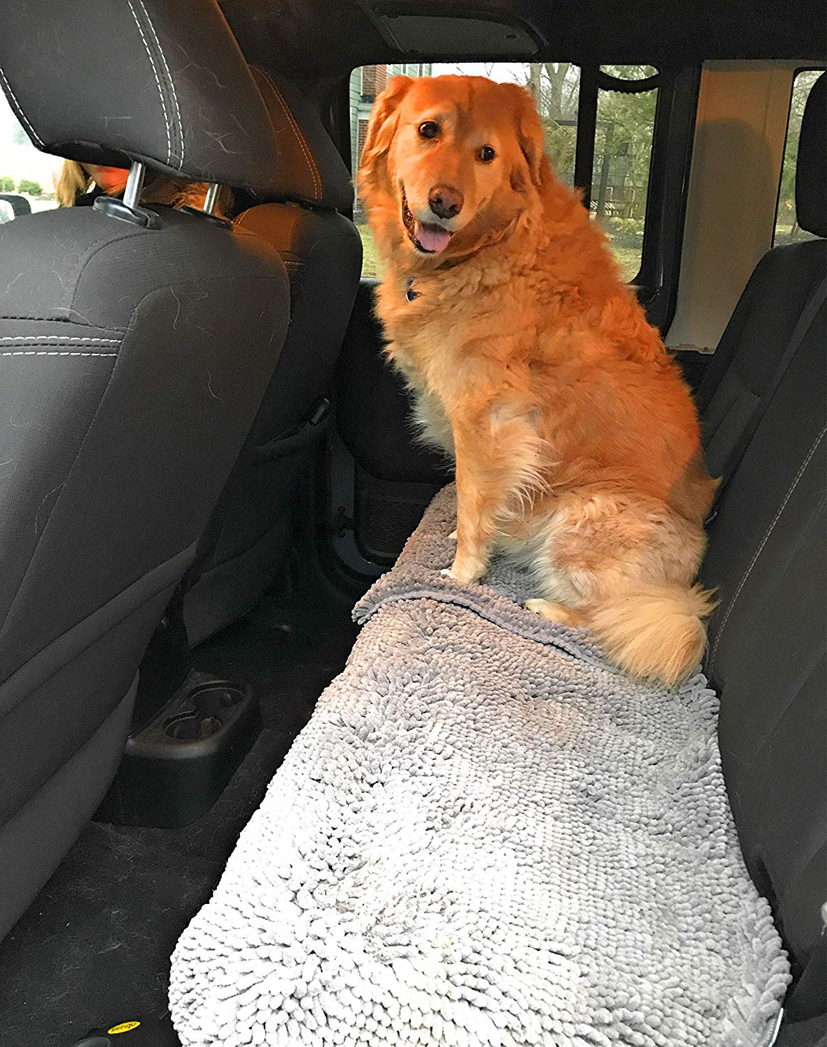 Automobile Dog Mat