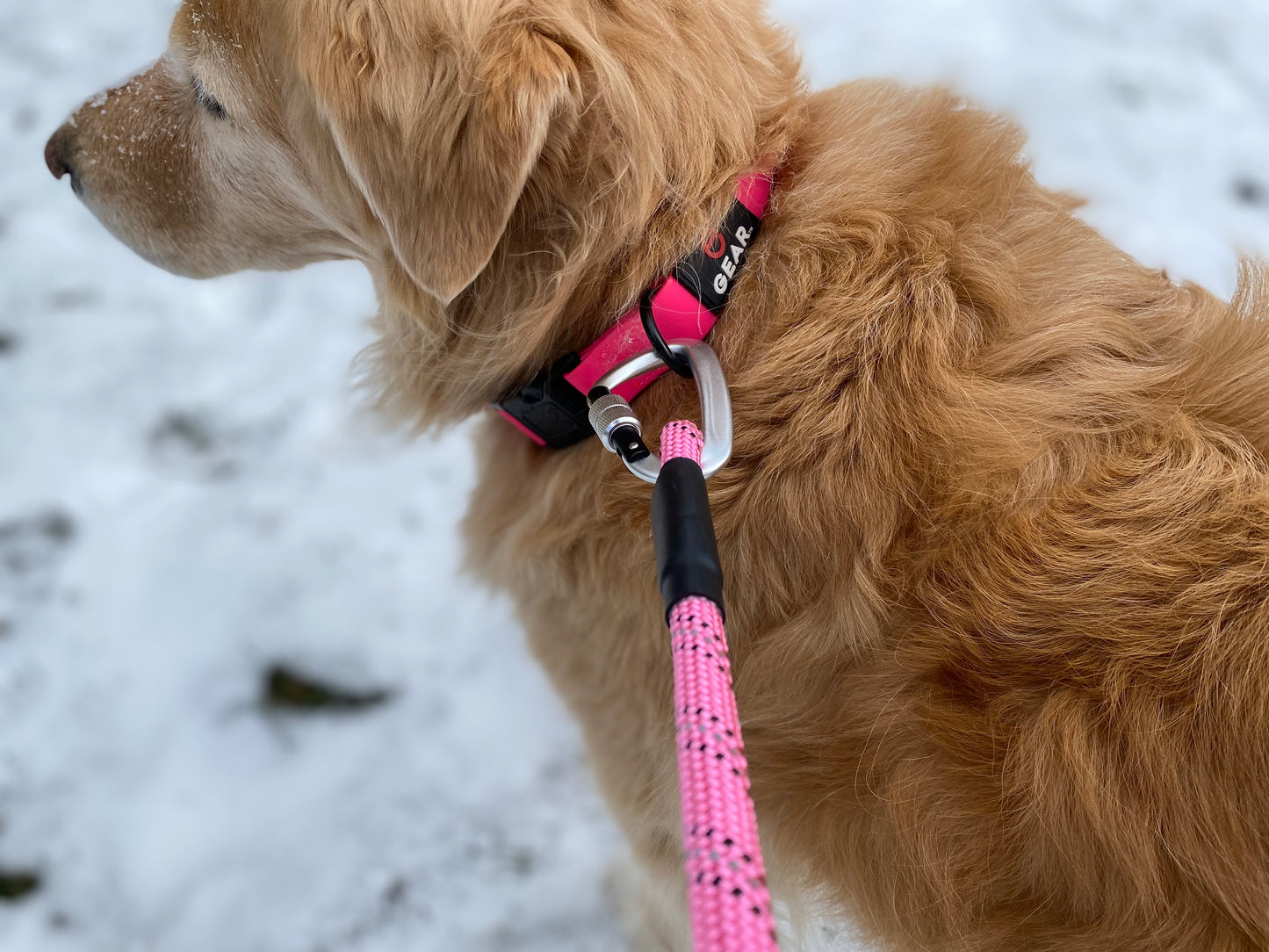 Enthusiast Gear AirTag Dog Collar – Weatherproof – Waterproof Anti-Odor Adjustable PVC Pet Collar with Protective Silicone Apple Air Tag Holder