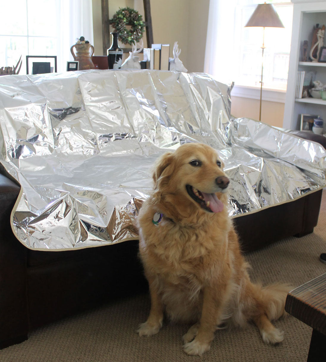 pet repellent mat