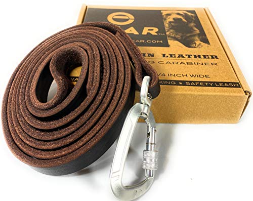 Enthusiast Gear Leather Dog Leash with Locking Carabiner | Strong and Soft Leash for Large and Medium Dogs | 6 Ft Long x ¾” Wide Genuine Leather