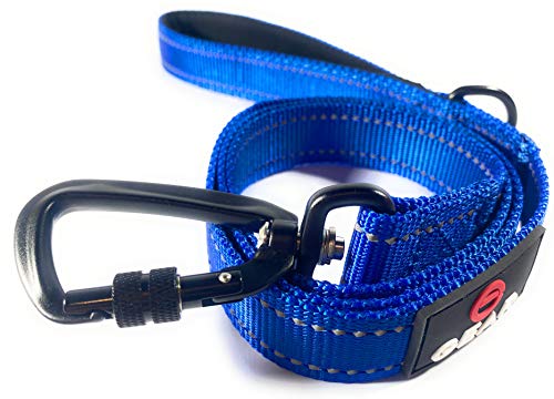 Dog leash outlet with locking clasp