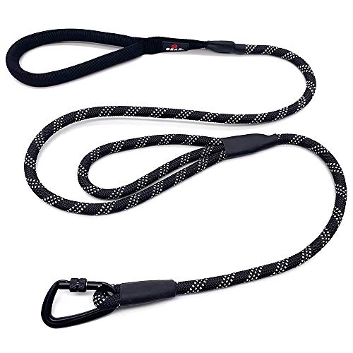 Enthusiast Gear Double Handle Rope Dog Leash with Locking Carabiner for Traffic Training Large and Medium Breeds (6' Foot)